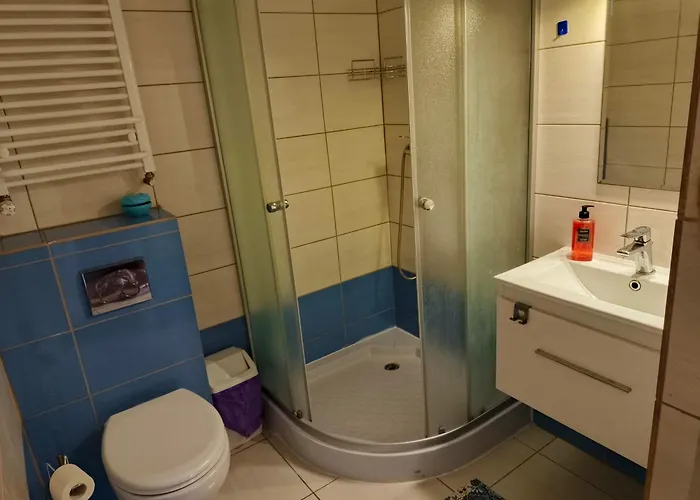 アパート Goscinne Marcin スバジェボ